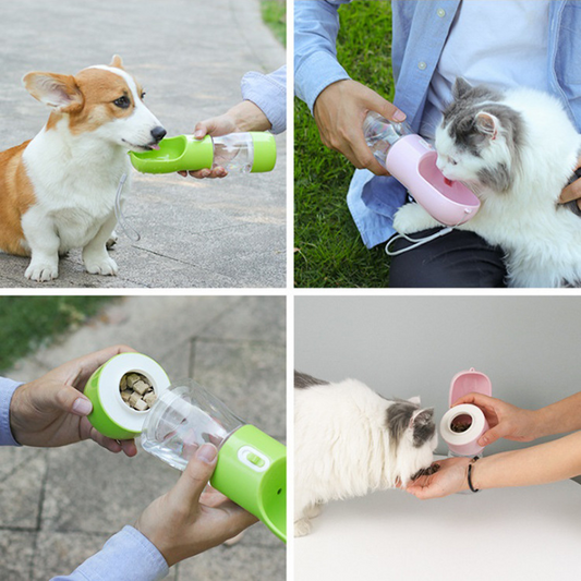 Drinking bottle with snack box for pet